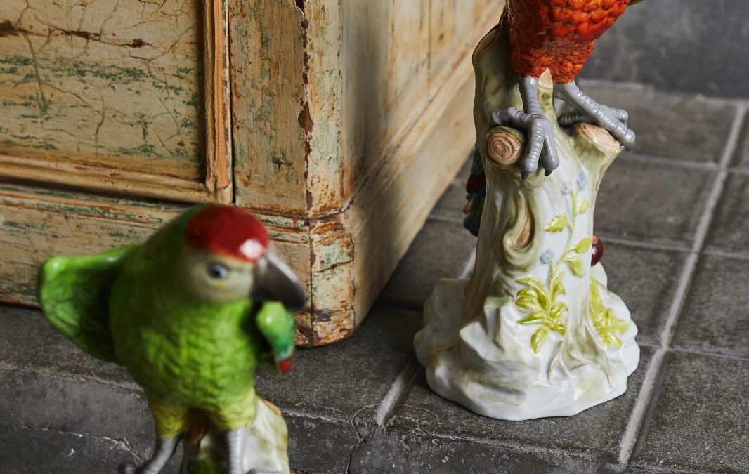 Pareja de loros