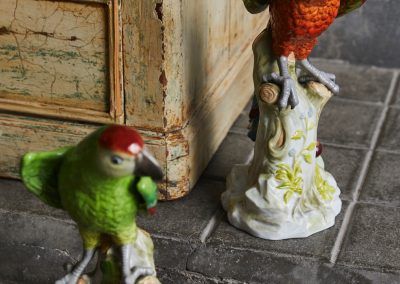 Pareja de loros